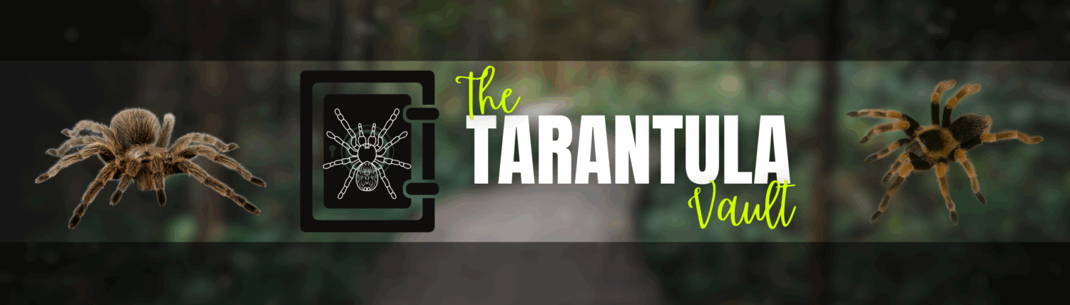 The Tarantula Vault